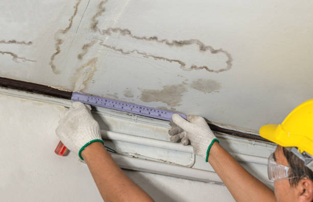 Reliable Basement Water Removal contractor in Clifton, NJ by Water Damage Irwin